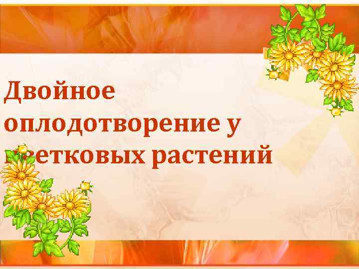 Двойное оплодотворение у цветковых растений 