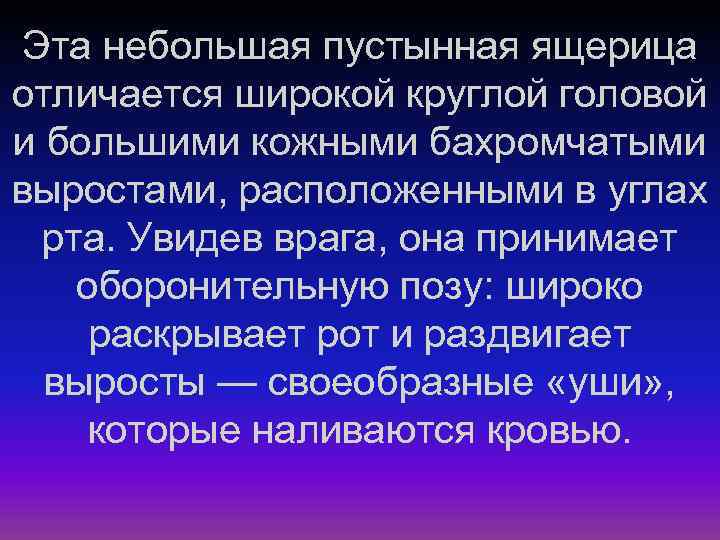 Эта небольшая пустынная ящерица отличается широкой круглой головой и большими кожными бахромчатыми выростами, расположенными
