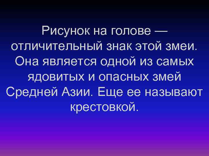 Рисунок на голове — отличительный знак этой змеи. Она является одной из самых ядовитых