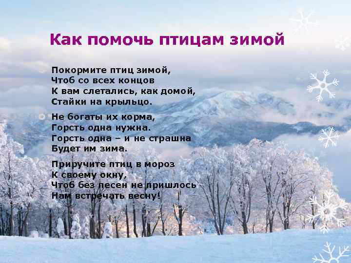 Как помочь птицам