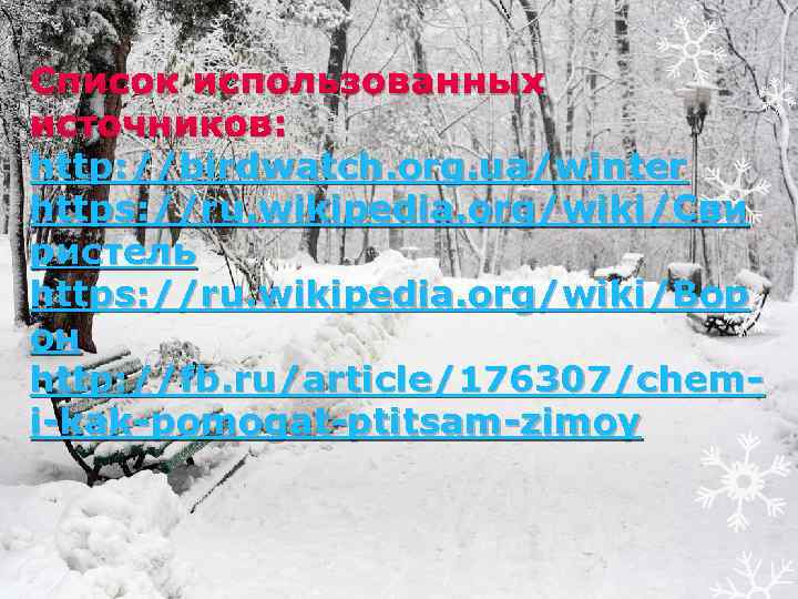 Список использованных источников: http: //birdwatch. org. ua/winter https: //ru. wikipedia. org/wiki/Сви ристель https: //ru.