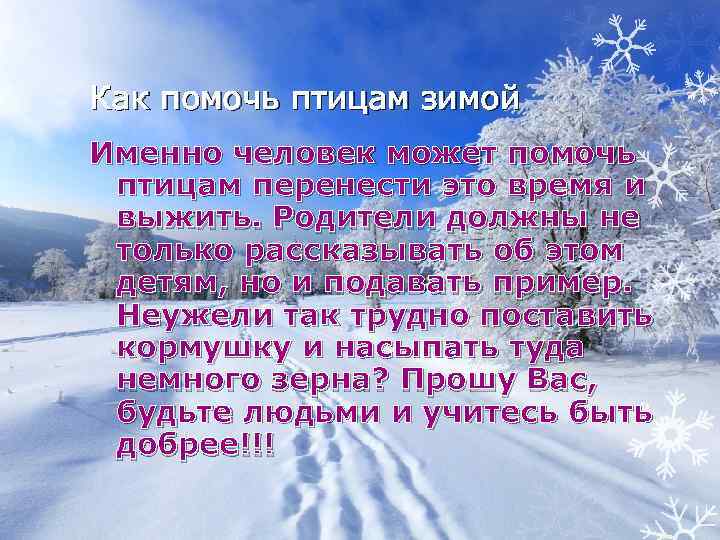 Стенгазета как помочь животным в зимнее время