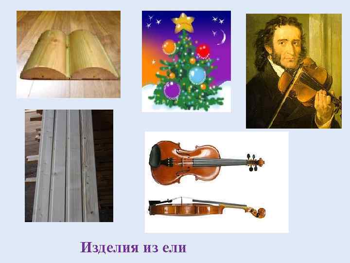Изделия из ели 