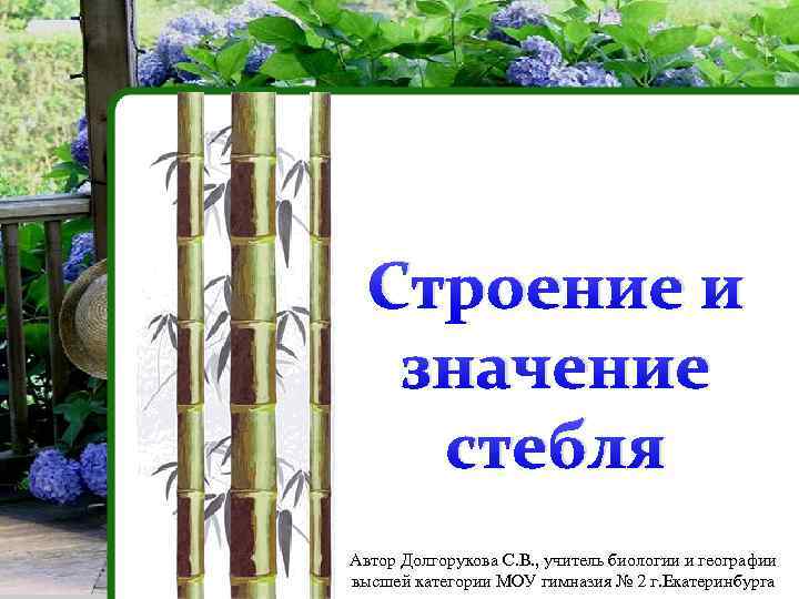 Строение и значение стебля Автор Долгорукова С. В. , учитель биологии и географии высшей