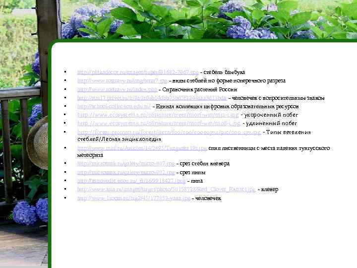  • • • • http: //plitkadecor. ru/images/super/B 1682 -7067. jpg - стебель бамбука