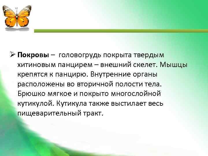  Покровы – головогрудь покрыта твердым хитиновым панцирем – внешний скелет. Мышцы крепятся к