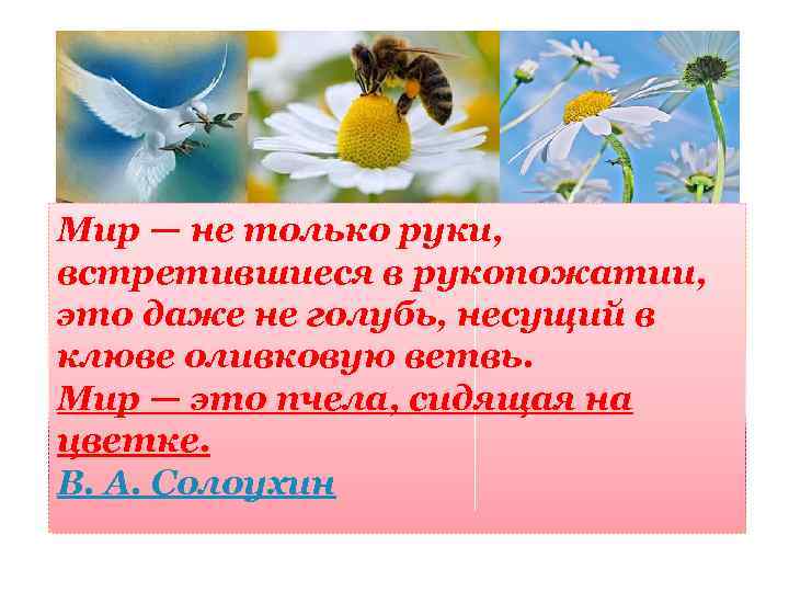Мир — не только руки, встретившиеся в рукопожатии, это даже не голубь, несущий в
