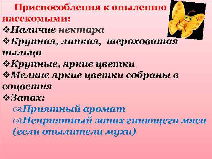 Приспособления к опылению насекомыми: v. Наличие нектара v. Крупная, липкая, шероховатая пыльца v. Крупные,