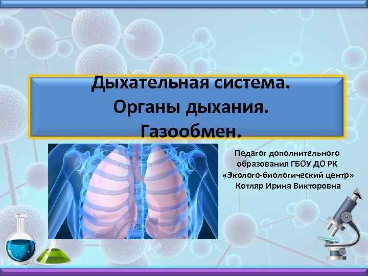 Дыхательная система. Органы дыхания. Газообмен. Педагог дополнительного образования ГБОУ ДО РК «Эколого-биологический центр» Котляр