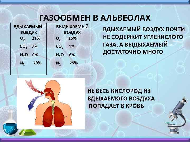 ГАЗООБМЕН В АЛЬВЕОЛАХ ВДЫХАЕМЫЙ ВОЗДУХ O 2 21% ВЫДЫХАЕМЫЙ ВОЗДУХ O 2 15% CO
