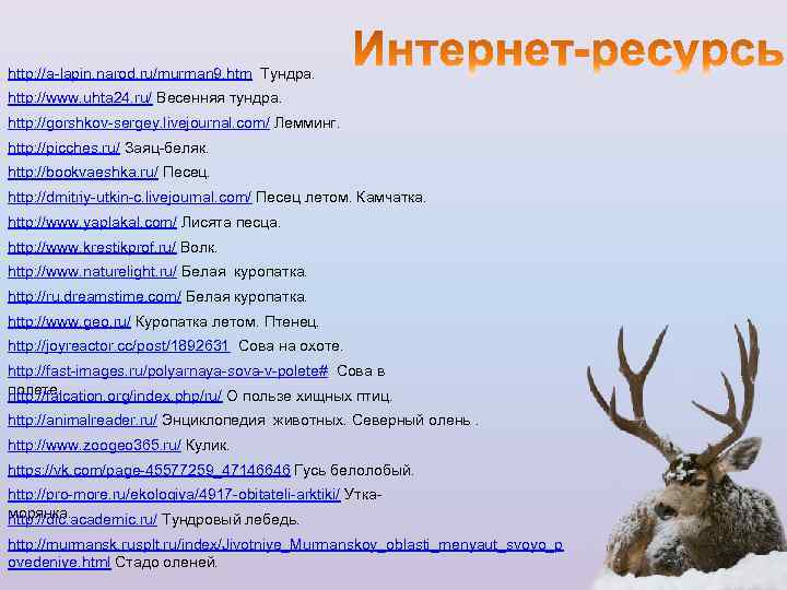 http: //a-lapin. narod. ru/murman 9. htm Тундра. http: //www. uhta 24. ru/ Весенняя тундра.