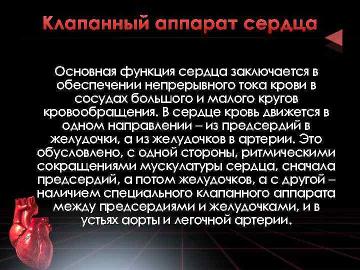 Клапанный аппарат сердца Основная функция сердца заключается в обеспечении непрерывного тока крови в сосудах