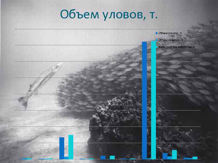 Объем уловов, т Объем аквакул. , т Всего рыбное хозяйство, т 