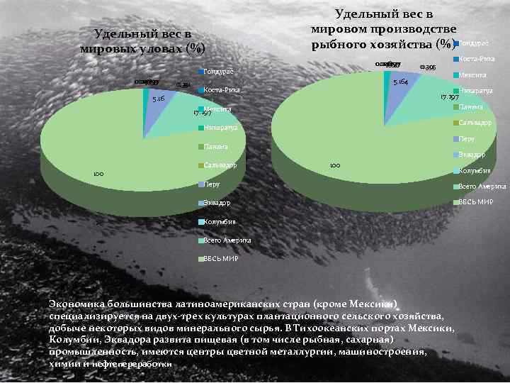 Удельный вес в мировых уловах (%) Удельный вес в мировом производстве рыбного хозяйства (%)