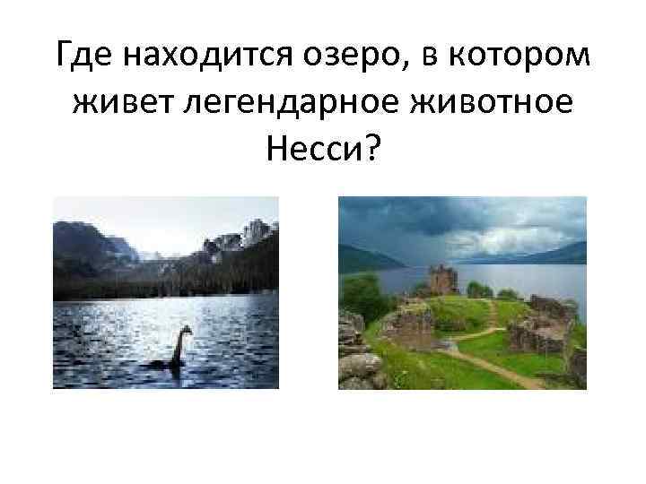 Где находится озеро, в котором живет легендарное животное Несси? 