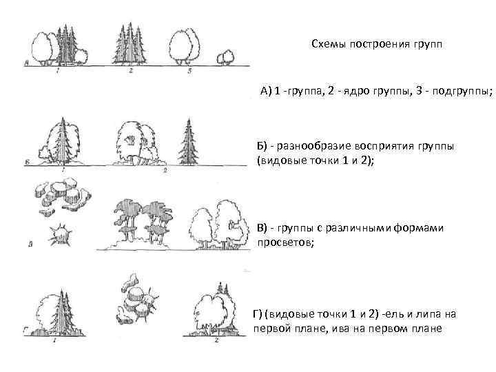 Схемы построения групп А) 1 -группа, 2 - ядро группы, 3 - подгруппы; Б)