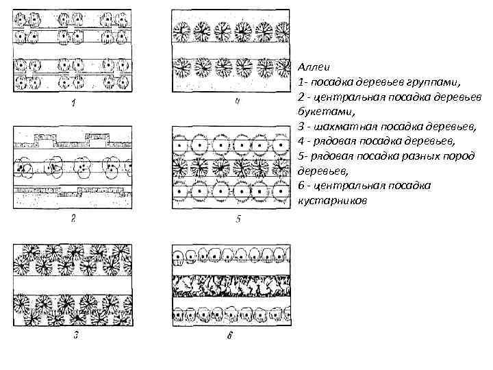 Аллеи 1 - посадка деревьев группами, 2 - центральная посадка деревьев букетами, 3 -