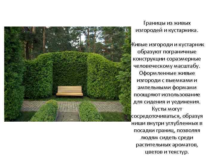 Границы из живых изгородей и кустарника. Живые изгороди и кустарник образуют пограничные конструкции соразмерные
