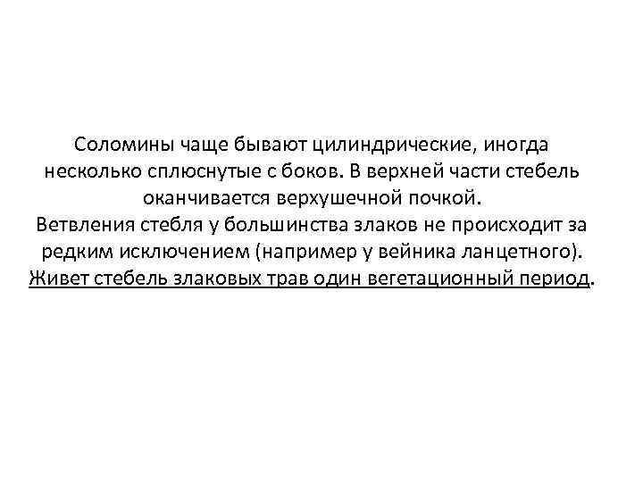 Соломины чаще бывают цилиндрические, иногда несколько сплюснутые с боков. В верхней части стебель оканчивается