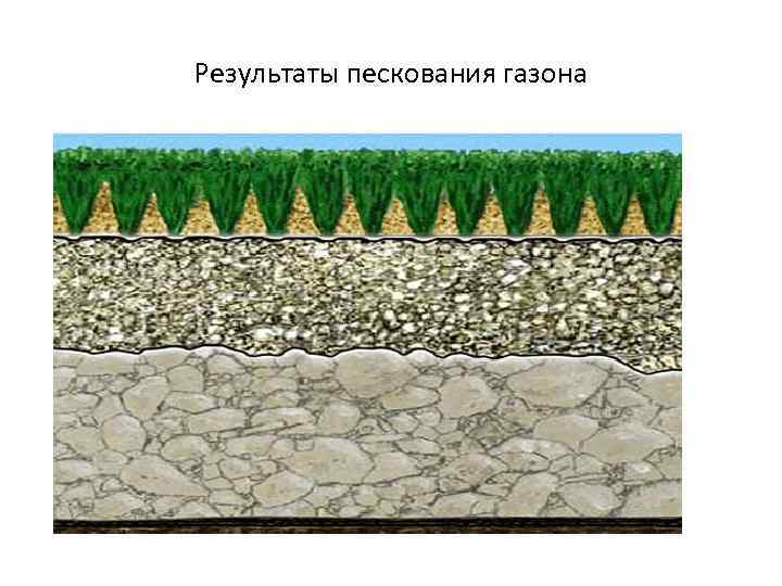 Результаты пескования газона 