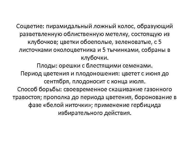 Соцветие: пирамидальный ложный колос, образующий разветвленную облиственную метелку, состоящую из клубочков; цветки обоеполые, зеленоватые,