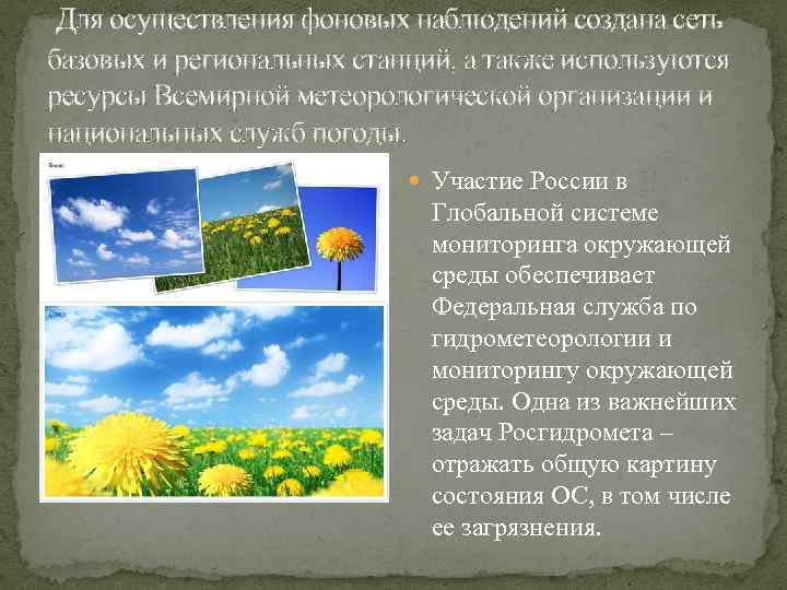 Для осуществления фоновых наблюдений создана сеть базовых и региональных станций, а также используются ресурсы