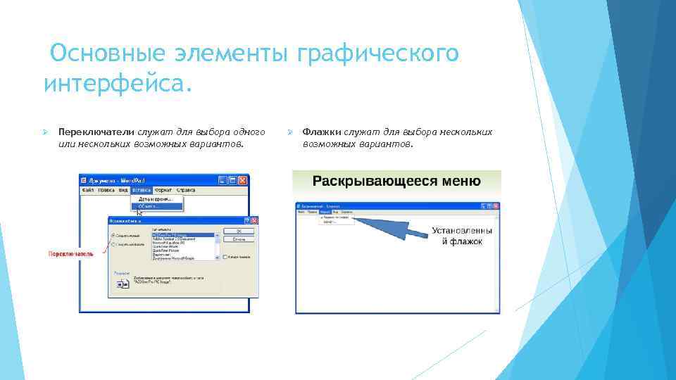Основные элементы графического интерфейса. Ø Переключатели служат для выбора одного или нескольких возможных вариантов.