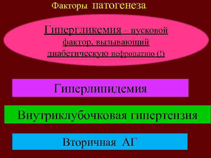 Факторы патогенеза Гипергликемия – пусковой фактор, вызывающий диабетическую нефропатию (!) Гиперлипидемия Внутриклубочковая гипертензия Вторичная