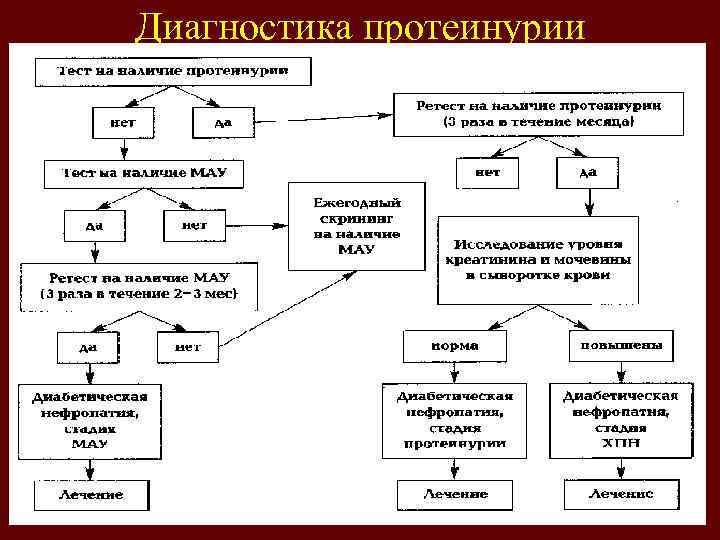 Диагностика протеинурии 