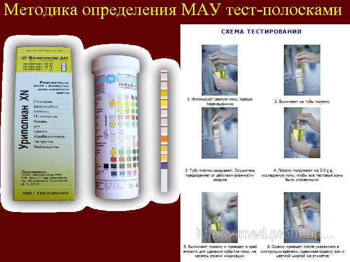 Методика определения МАУ тест-полосками 