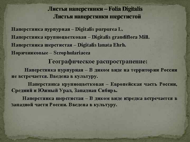 Листья наперстянки – Folia Digitalis Листья наперстянки шерстистой Наперстянка пурпурная – Digitalis purpurea L.