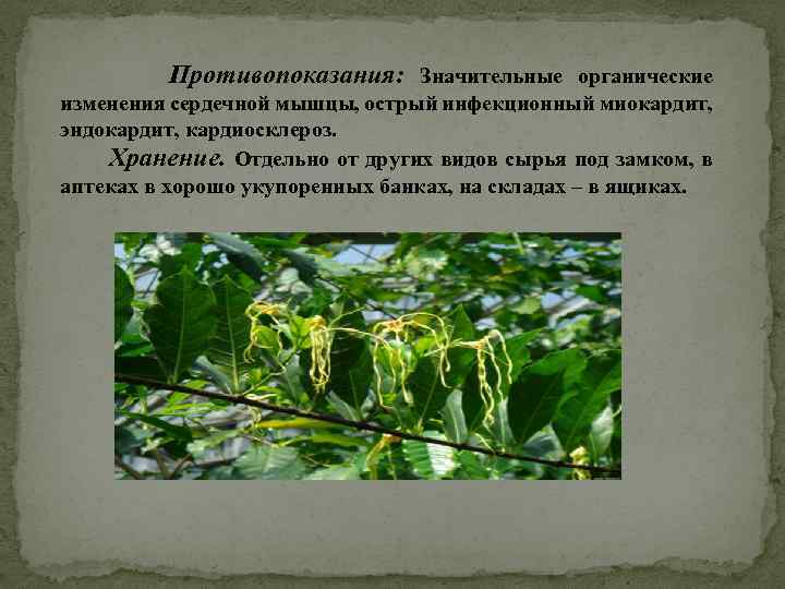 Противопоказания: Значительные органические изменения сердечной мышцы, острый инфекционный миокардит, эндокардит, кардиосклероз. Хранение. Отдельно от