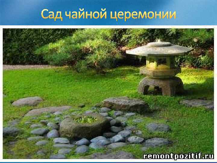 Сад чайной церемонии 