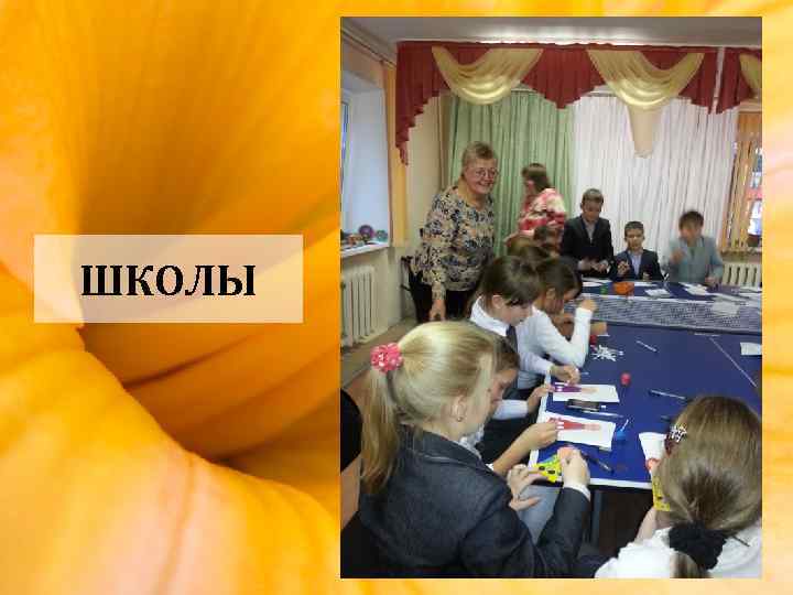 ШКОЛЫ 