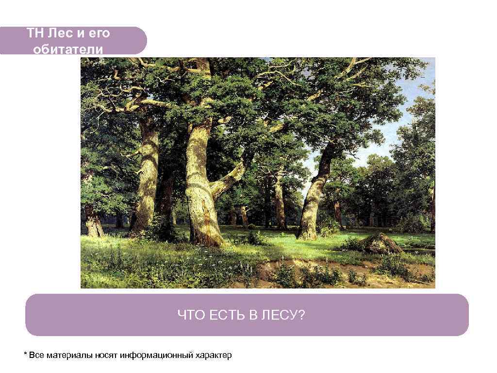 ТН Лес и его обитатели ЧТО ЕСТЬ В ЛЕСУ? * Все материалы носят информационный