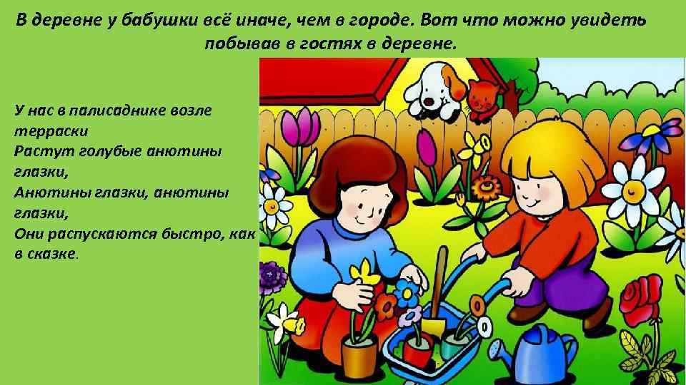В деревне у бабушки всё иначе, чем в городе. Вот что можно увидеть побывав
