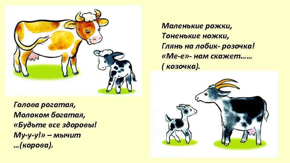 Маленькие рожки, Тоненькие ножки, Глянь на лобик- розочка! «Ме-е» - нам скажет…… ( козочка).