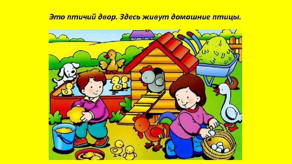 Это птичий двор. Здесь живут домашние птицы. 