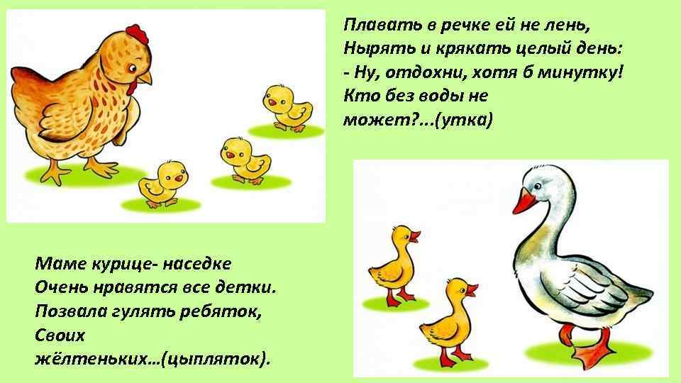 Плавать в речке ей не лень, Нырять и крякать целый день: - Ну, отдохни,