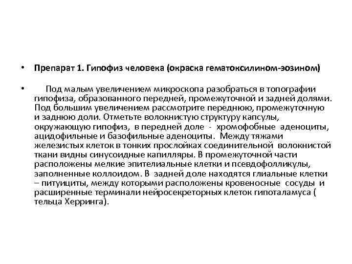  • Препарат 1. Гипофиз человека (окраска гематоксилином-эозином) • Под малым увеличением микроскопа разобраться