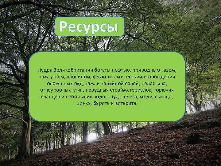  Ресурсы Недра Великобритании богаты нефтью, природным газом, кам. углём, каолином, флюоритами, есть месторождения