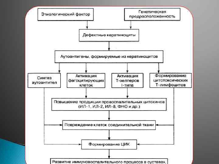 Псориаз иммунология схема