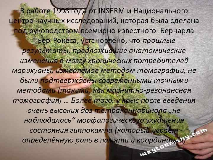 В работе 1998 года от INSERM и Национального центра научных исследований, которая была сделана