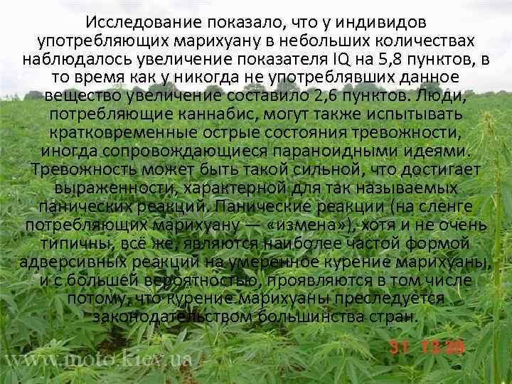 Исследование показало, что у индивидов употребляющих марихуану в небольших количествах наблюдалось увеличение показателя IQ