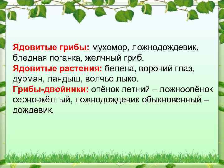 Ядовитые грибы: мухомор, ложнодождевик, бледная поганка, желчный гриб. Ядовитые растения: белена, вороний глаз, дурман,