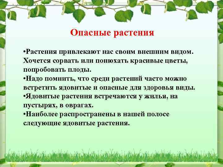 Опасные растения • Растения привлекают нас своим внешним видом. Хочется сорвать или понюхать красивые