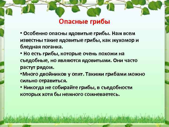 Опасные грибы • Особенно опасны ядовитые грибы. Нам всем известны такие ядовитые грибы, как