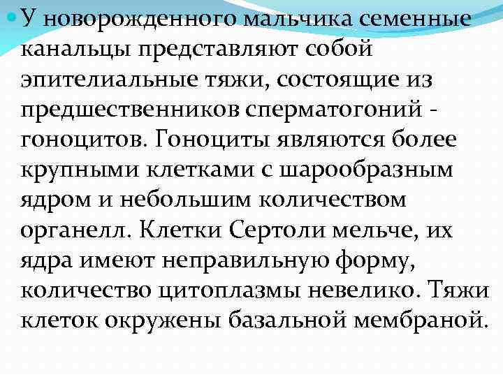  У новорожденного мальчика семенные канальцы представляют собой эпителиальные тяжи, состоящие из предшественников сперматогоний