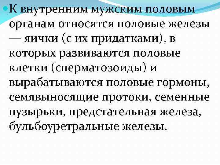  К внутренним мужским половым органам относятся половые железы — яички (с их придатками),