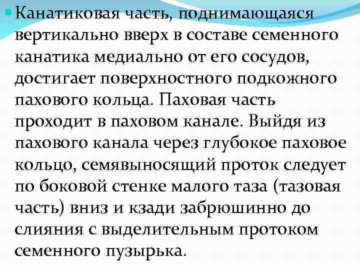  Канатиковая часть, поднимающаяся вертикально вверх в составе семенного канатика медиально от его сосудов,